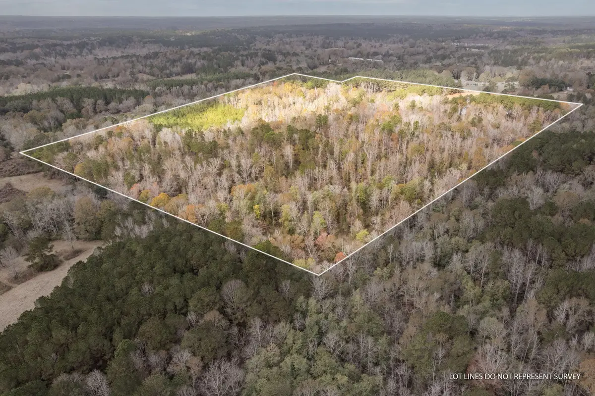 0 Phillips Rd., Sumrall, MS 39482 - Image #1