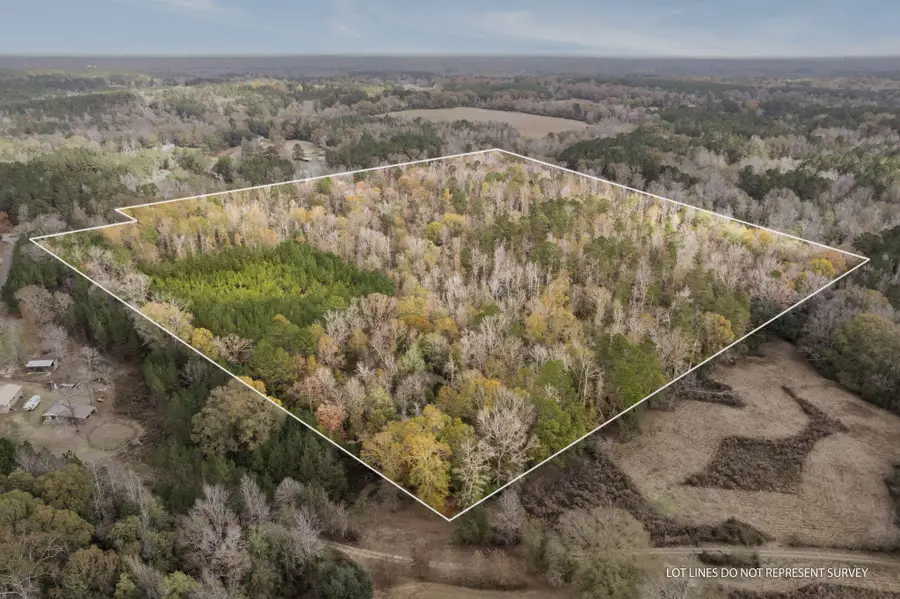 0 Phillips Rd., Sumrall, MS 39482 - Image #2