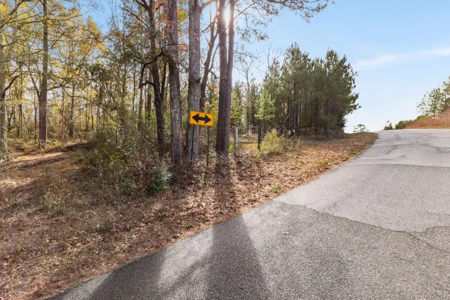 0 Phillips Rd., Sumrall, MS 39482 - Image #3