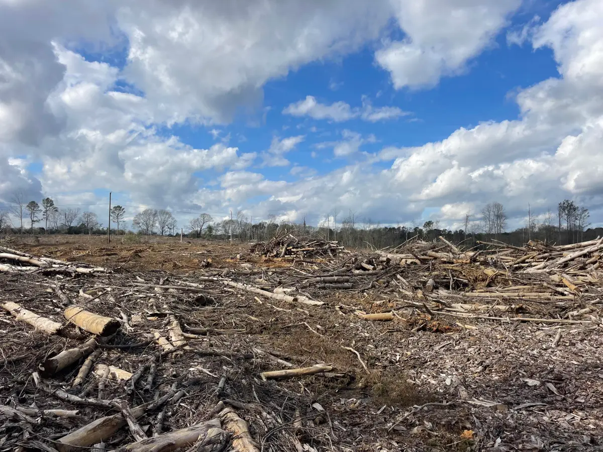 Lot 6 Ebenezer Rd, Columbia, MS 39429 - Image #1