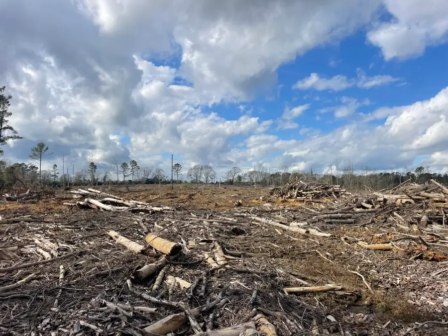 Lot 6 Ebenezer Rd, Columbia, MS 39429 - Image #2