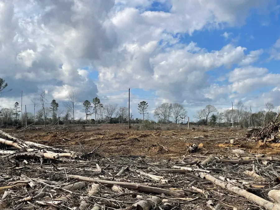 Lot 6 Ebenezer Rd, Columbia, MS 39429 - Image #3