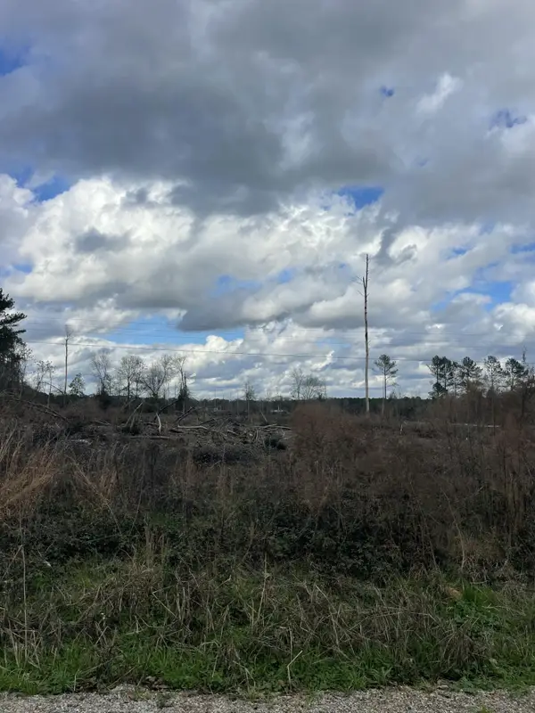 Lot 5 Sinclair Rd, Columbia, MS 39429