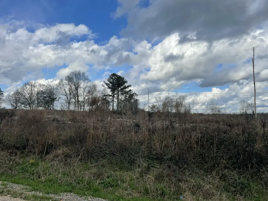 Lot 5 Sinclair Rd, Columbia, MS 39429 - Image #3