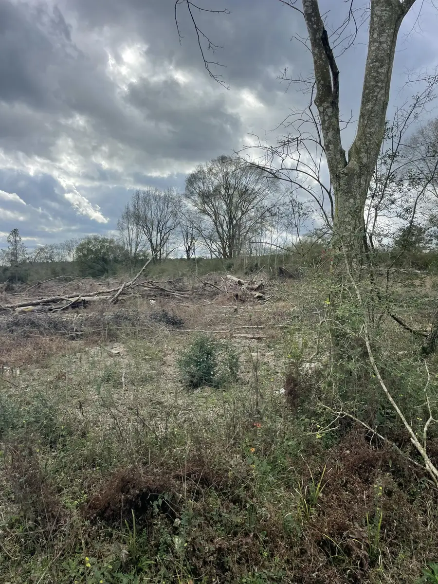 Lot 3 Sinclair Rd, Columbia, MS 39429 - Image #2
