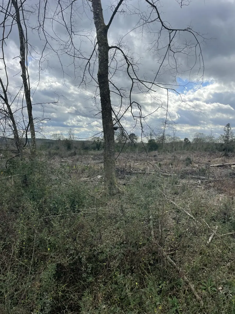 Lot 3 Sinclair Rd, Columbia, MS 39429 - Image #3