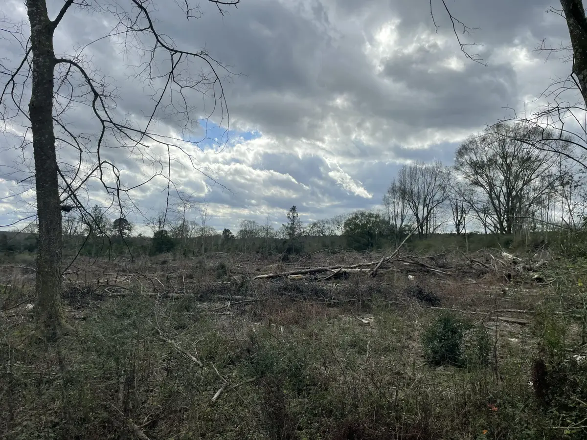 Lot 4 Sinclair Rd, Columbia, MS 39429 - Image #1