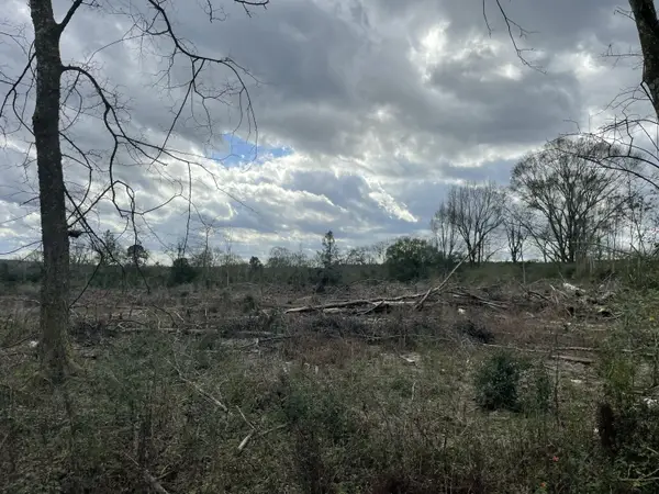 Lot 4 Sinclair Rd, Columbia, MS 39429