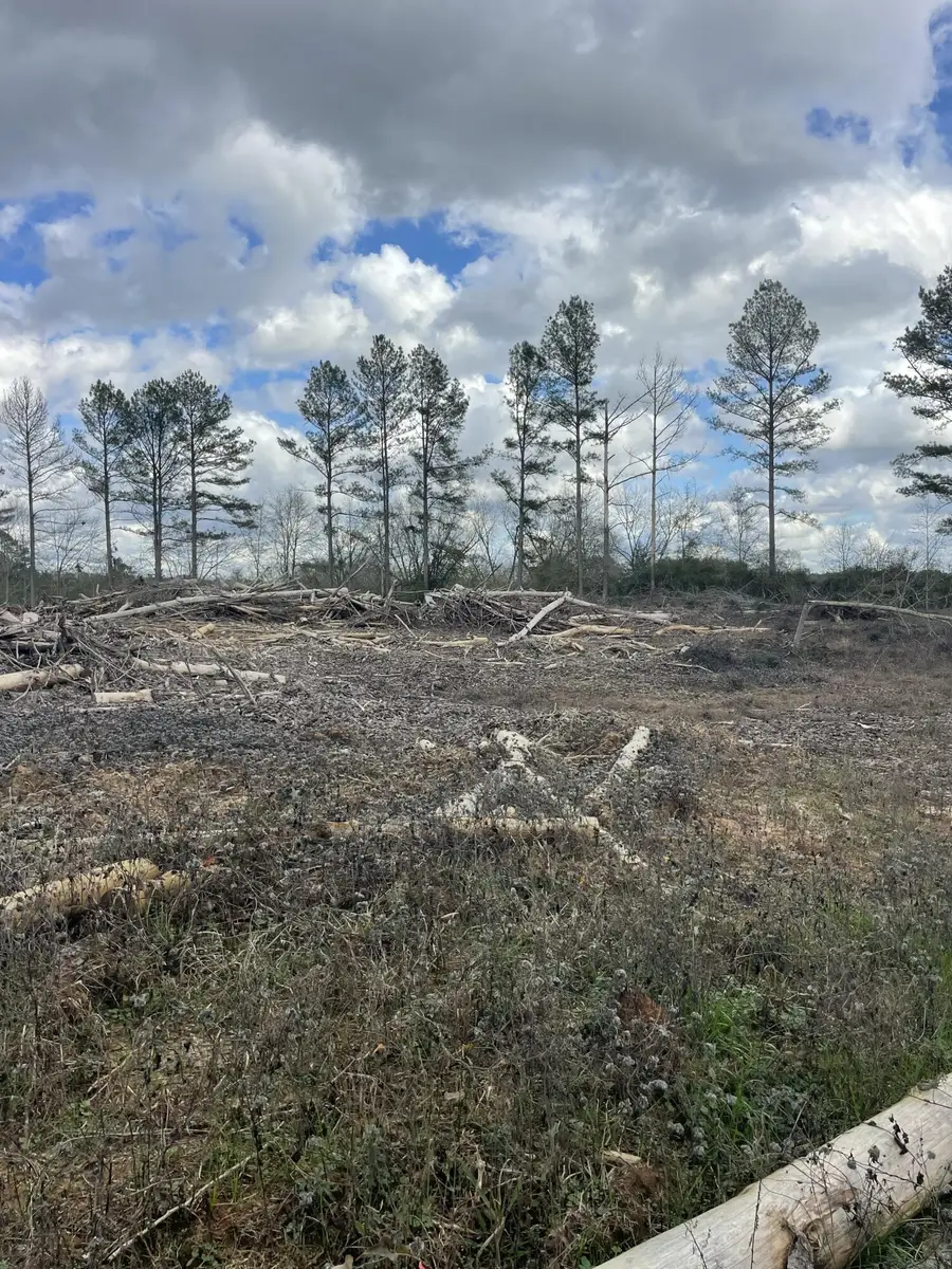Lot 4 Sinclair Rd, Columbia, MS 39429 - Image #2