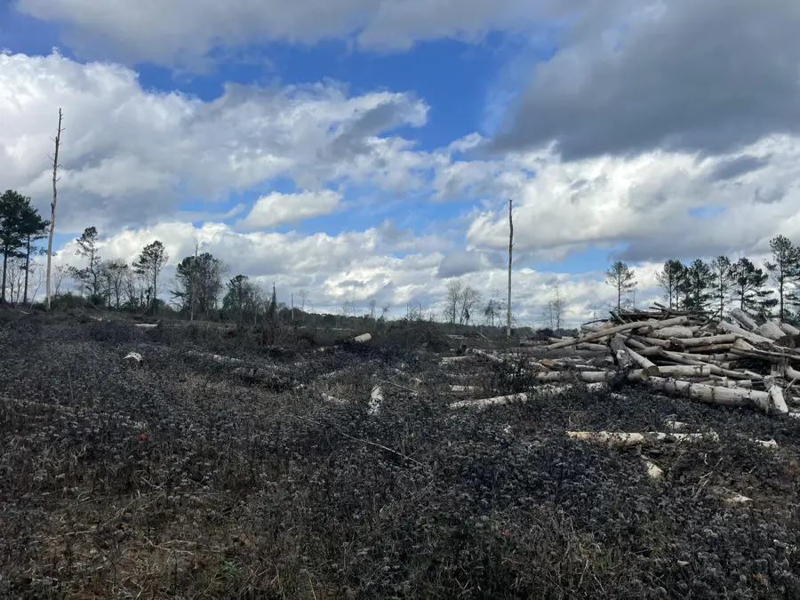 Lot 4 Sinclair Rd, Columbia, MS 39429 - Image #3