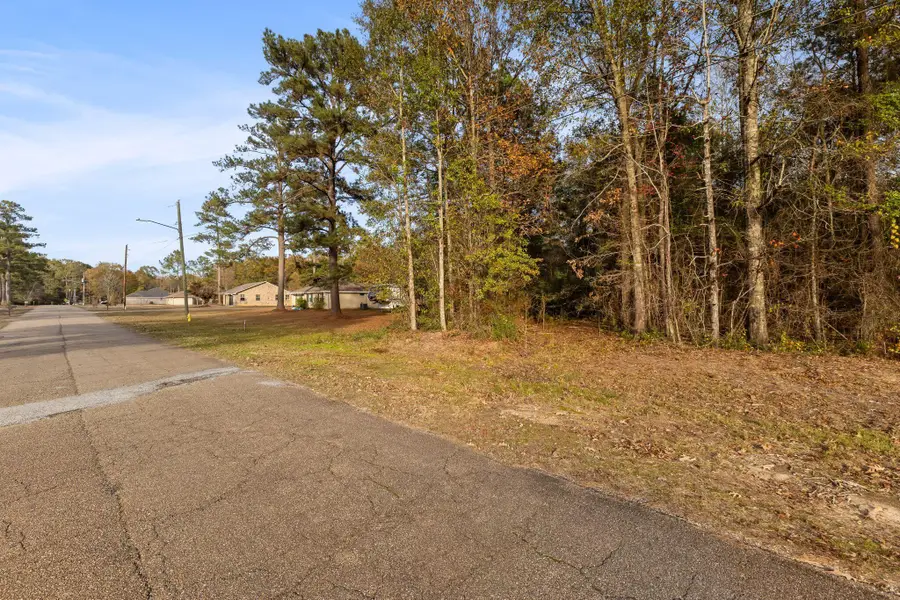 00 King Blvd., Petal, MS 39465 - Image #2