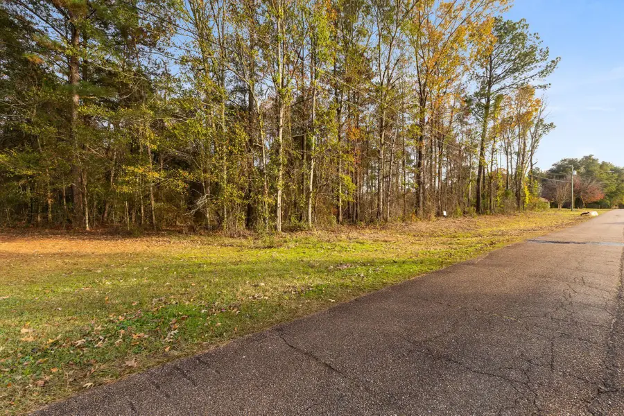 00 King Blvd., Petal, MS 39465 - Image #3