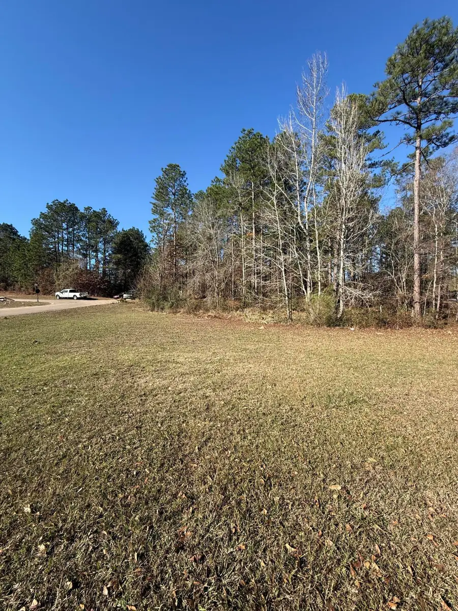 00 Wedgewood Trace, Hattiesburg, MS 39402 - Image #3