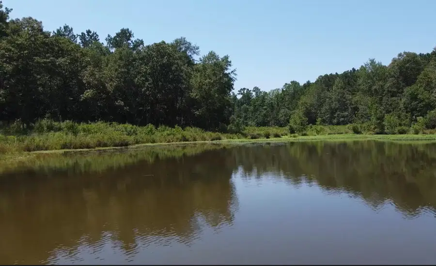 Lot 15 Audra Hills, Hattiesburg, MS 39402 - Image #3