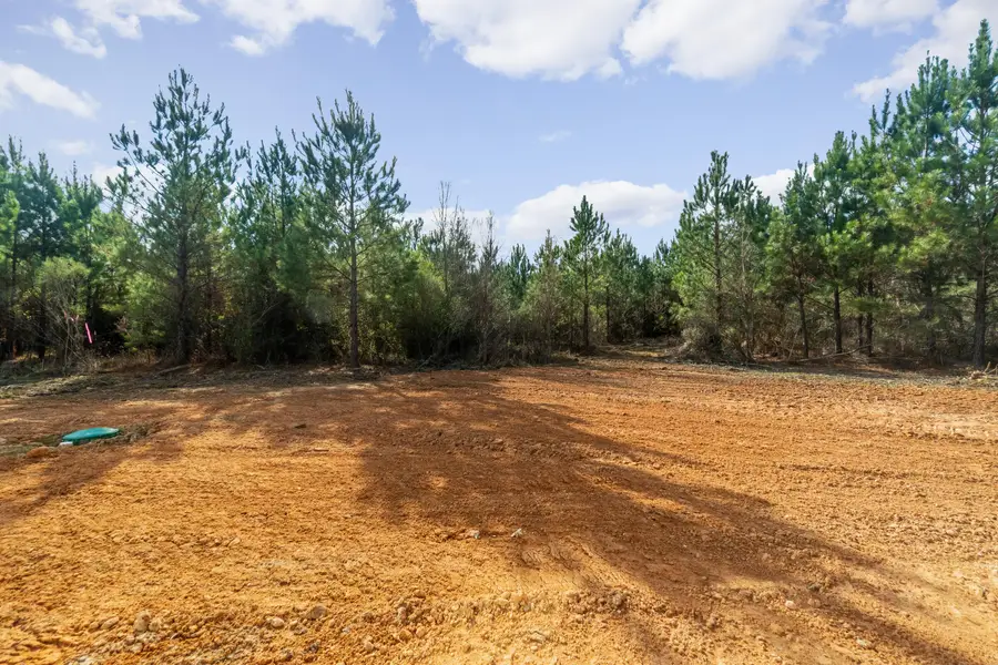 100 Singley Rd., Columbia, MS 39429 - Image #2