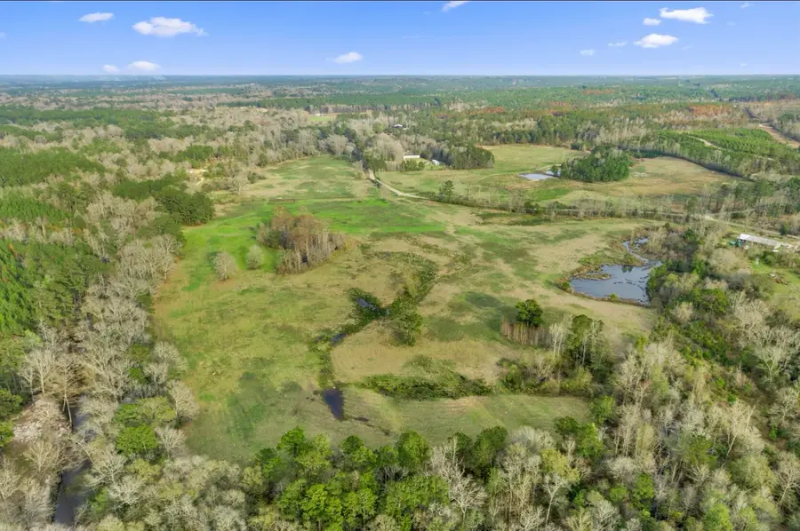 Lot 8 4.95 Acres Fire Tower Rd., Columbia, MS 39429 - #3