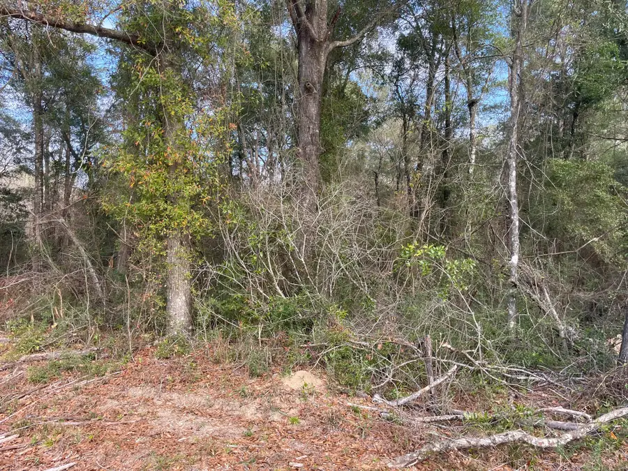 TBD Mccain, Foxworth, MS 39483 - Image #3