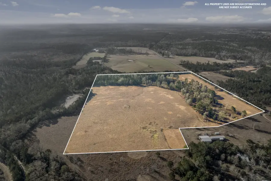35 Acres Tatum Salt Dome Rd., Lumberton, MS 39455 - #3
