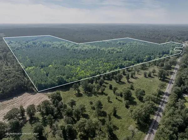 121 Acres Old Hwy 49, Seminary, MS 39429