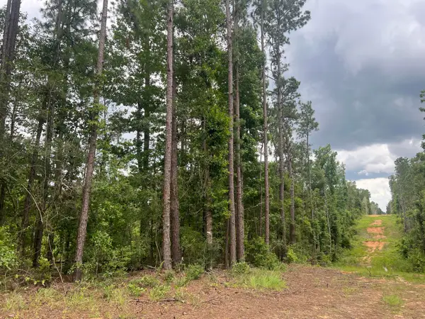 #7 Lawler Rd., Lumberton, MS 39455