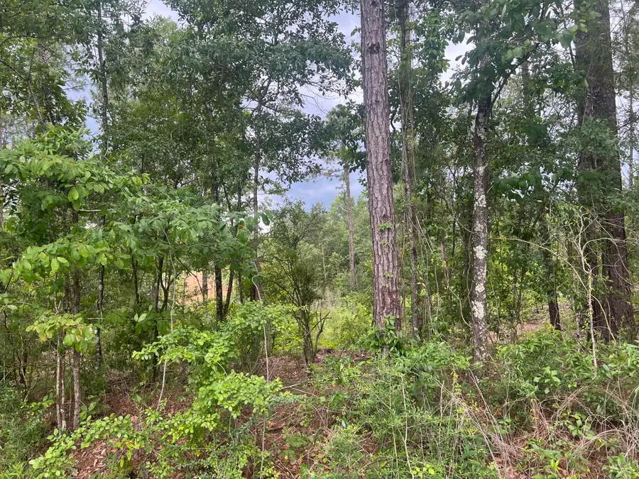 #7 Lawler Rd., Lumberton, MS 39455 - #2
