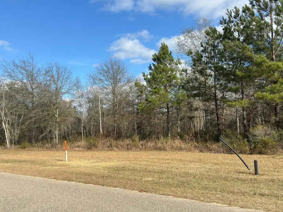 00 Marker Point, Lumberton, MS 39455 - Image #3