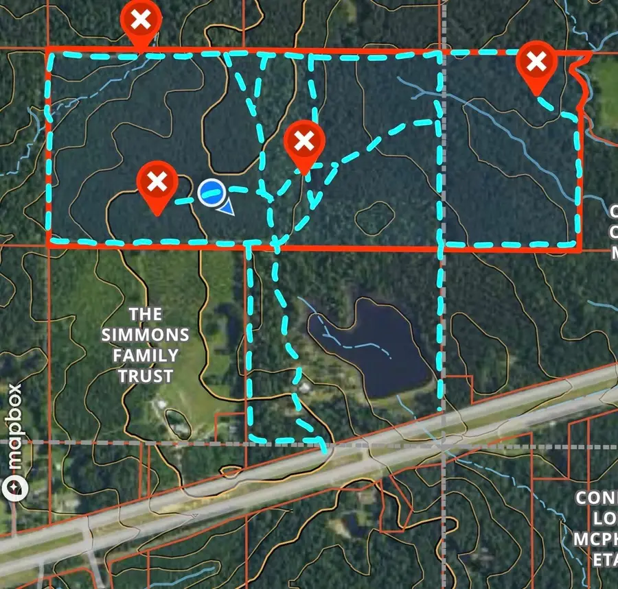 113 +/- Acres Hwy 98, Columbia, MS 39429 - Image #2