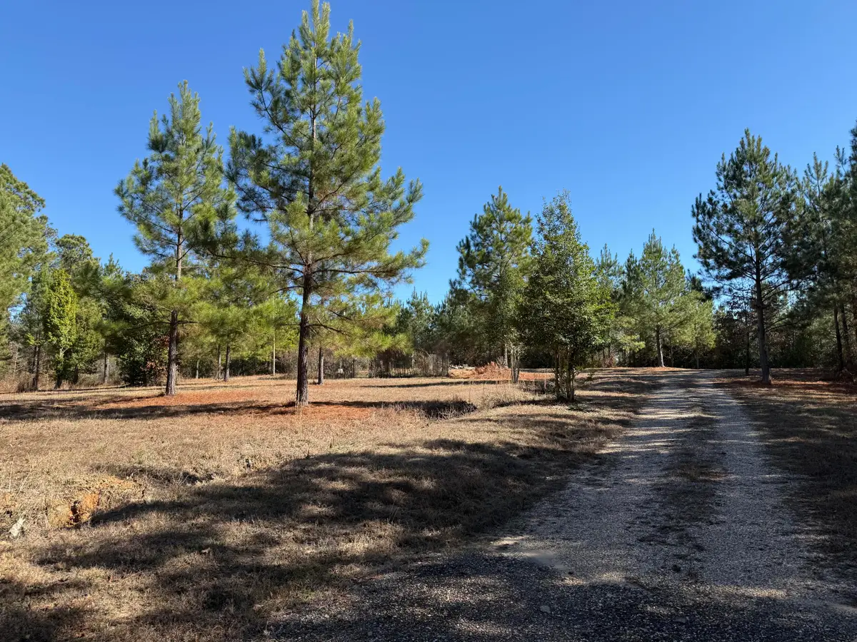 88 County Rd 146, Quitman, MS 39355 - Image #1