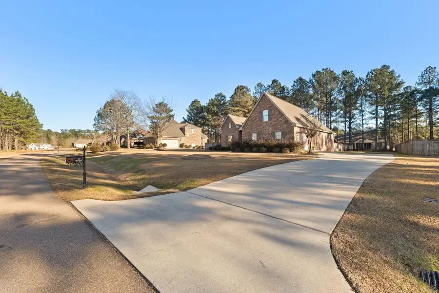 27 Bengal, Hattiesburg, MS 39402 - #3