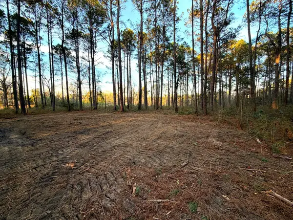 12.1 Acres Evans Rd., Poplarville, MS 39470
