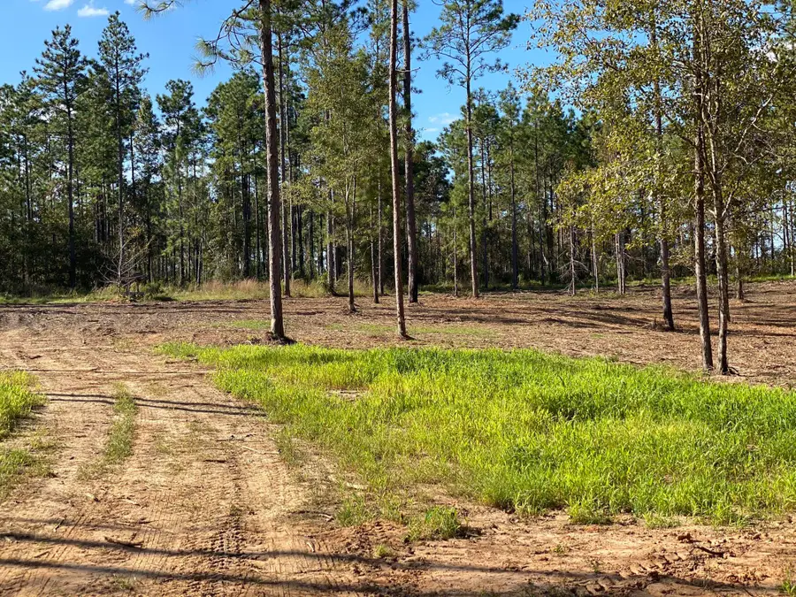 23 Mcbriar, Purvis, MS 39475 - #3