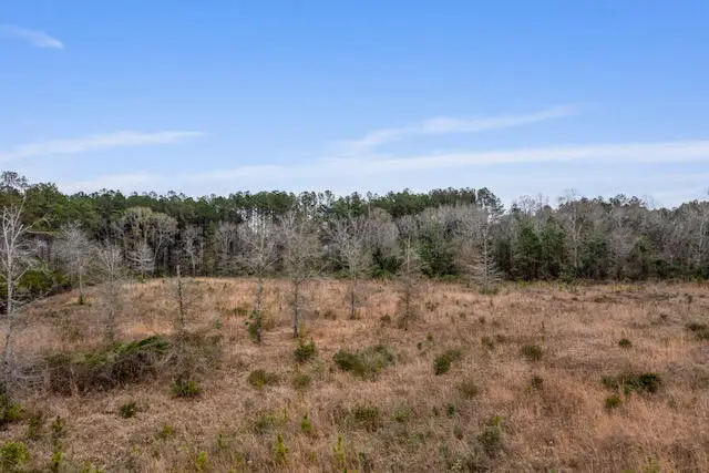 0 Highway 589, Hattiesburg, MS 39402 - #3