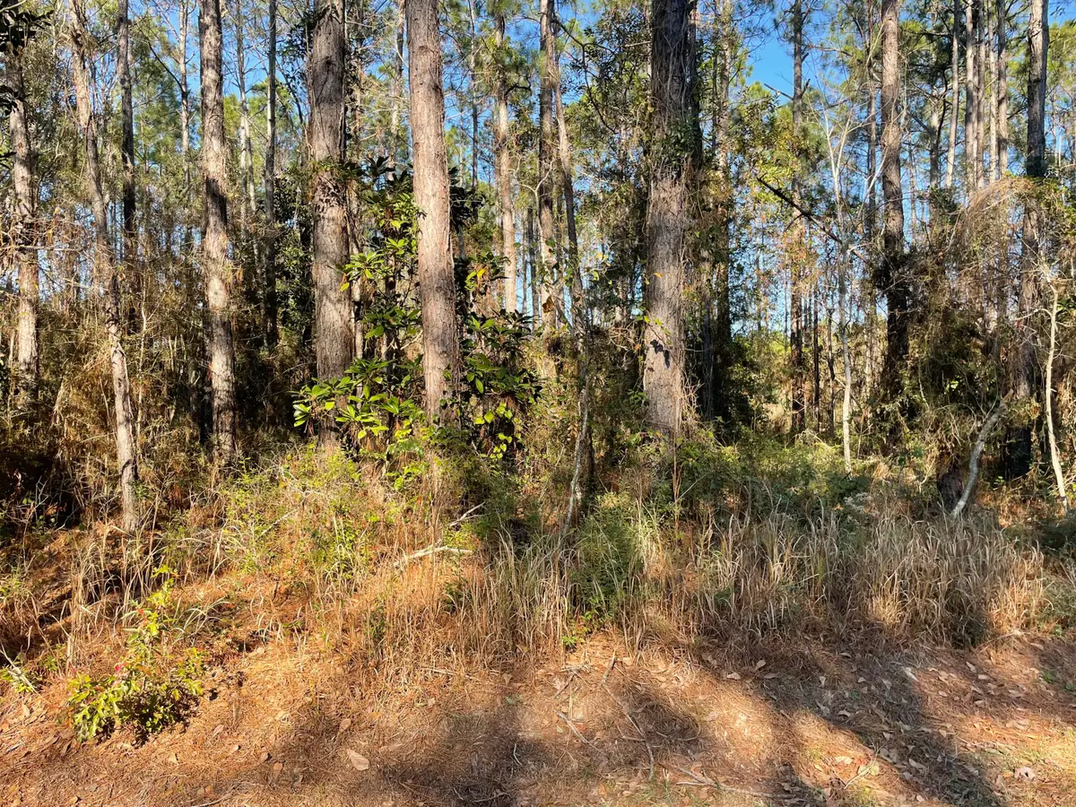 TBD W Hinds, Bay Saint Louis, MS 39520 - Image #1