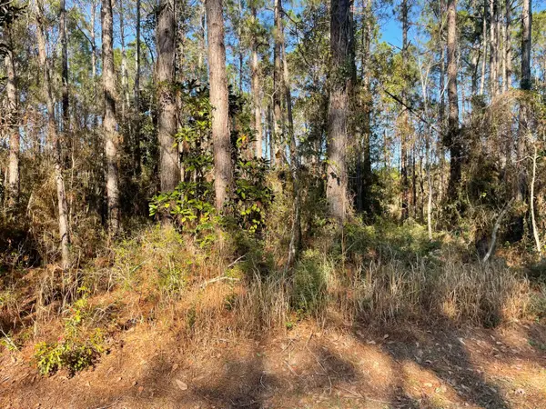 TBD W Hinds, Bay St. Louis, MS 39520