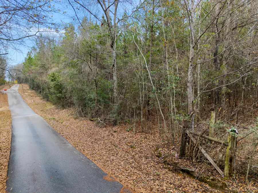 00 Nicholson Rd., Richton, MS 39476 - #3