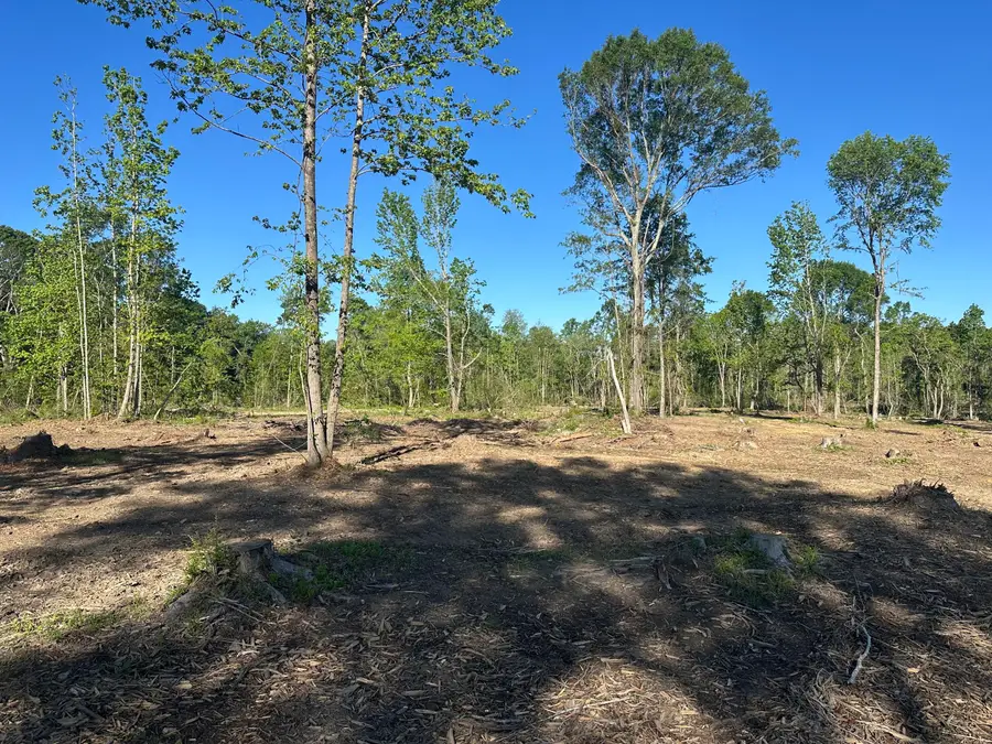 165 Sandy Run, Hattiesburg, MS 39402 - Image #2