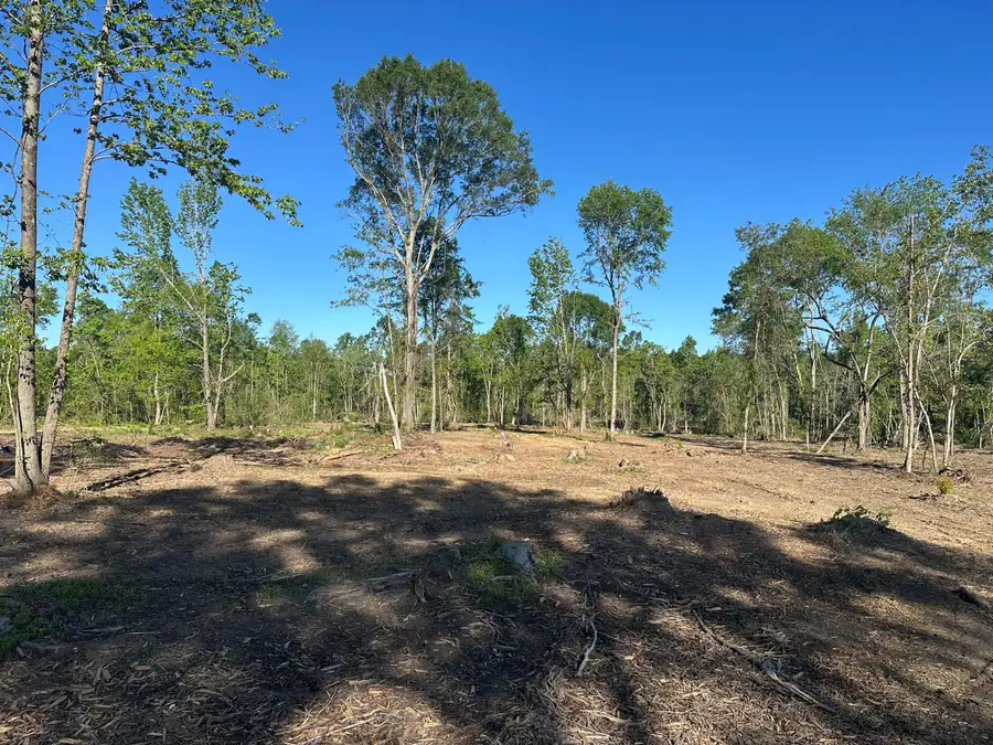 165 Sandy Run, Hattiesburg, MS 39402 - Image #3