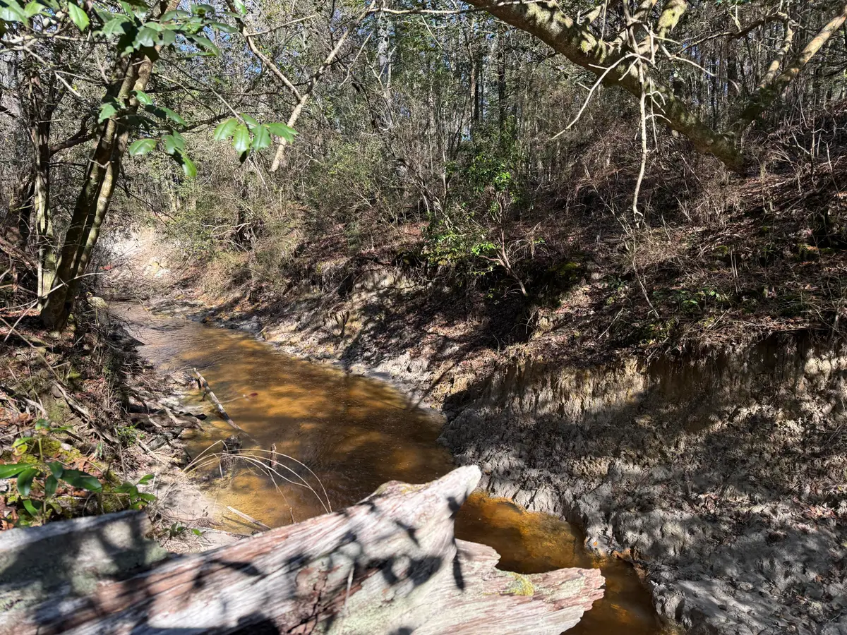 38 AC +/- Indian Hill Rd., Richton, MS 39476 - #1