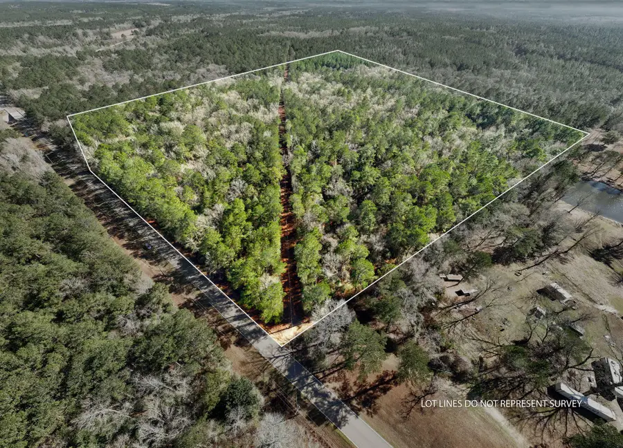 38 AC +/- Indian Hill Rd., Richton, MS 39476 - #2