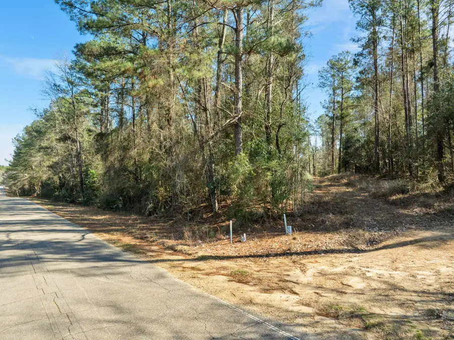 38 AC +/- Indian Hill Rd., Richton, MS 39476 - #3