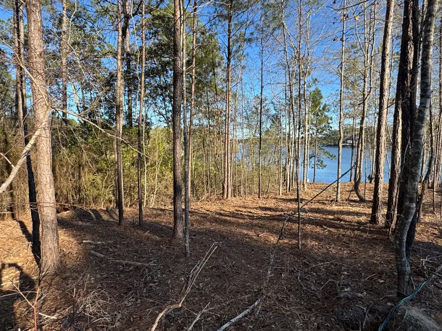 166 Ella Point, Lumberton, MS 39455 - #3