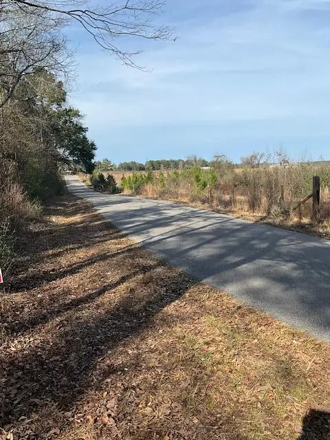 01 A Pittman Rd, Sandy Hook, MS 39478 - #1