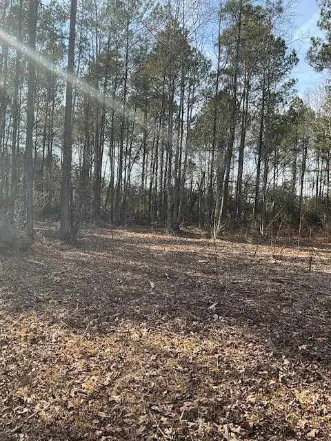 01 A Pittman Rd, Sandy Hook, MS 39478 - #2