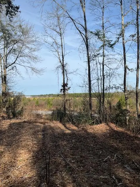 01 A Pittman Rd, Sandy Hook, MS 39478 - #3