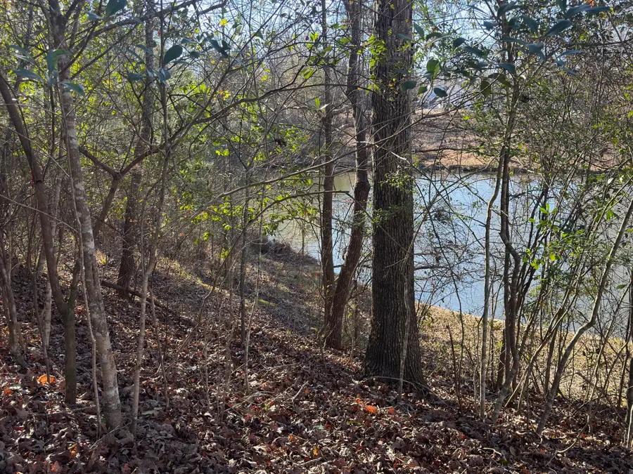 Lot 6 Gum Reed Cove, Lumberton, MS 39455 - #2