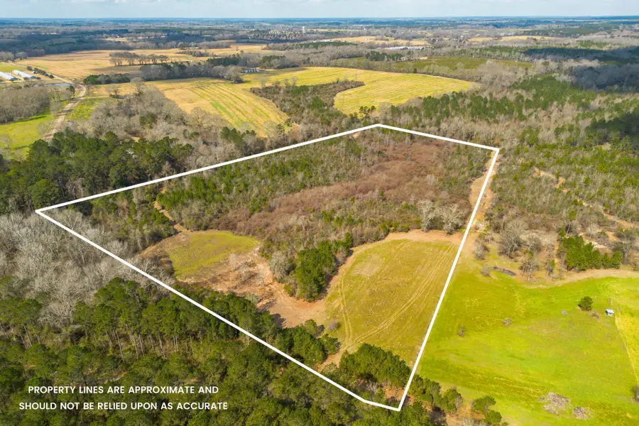 0 Stovall Rd., Kokomo, MS 39643 - #2