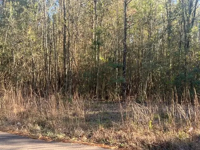 0 Duncan, Kokomo, MS 39643 - #3