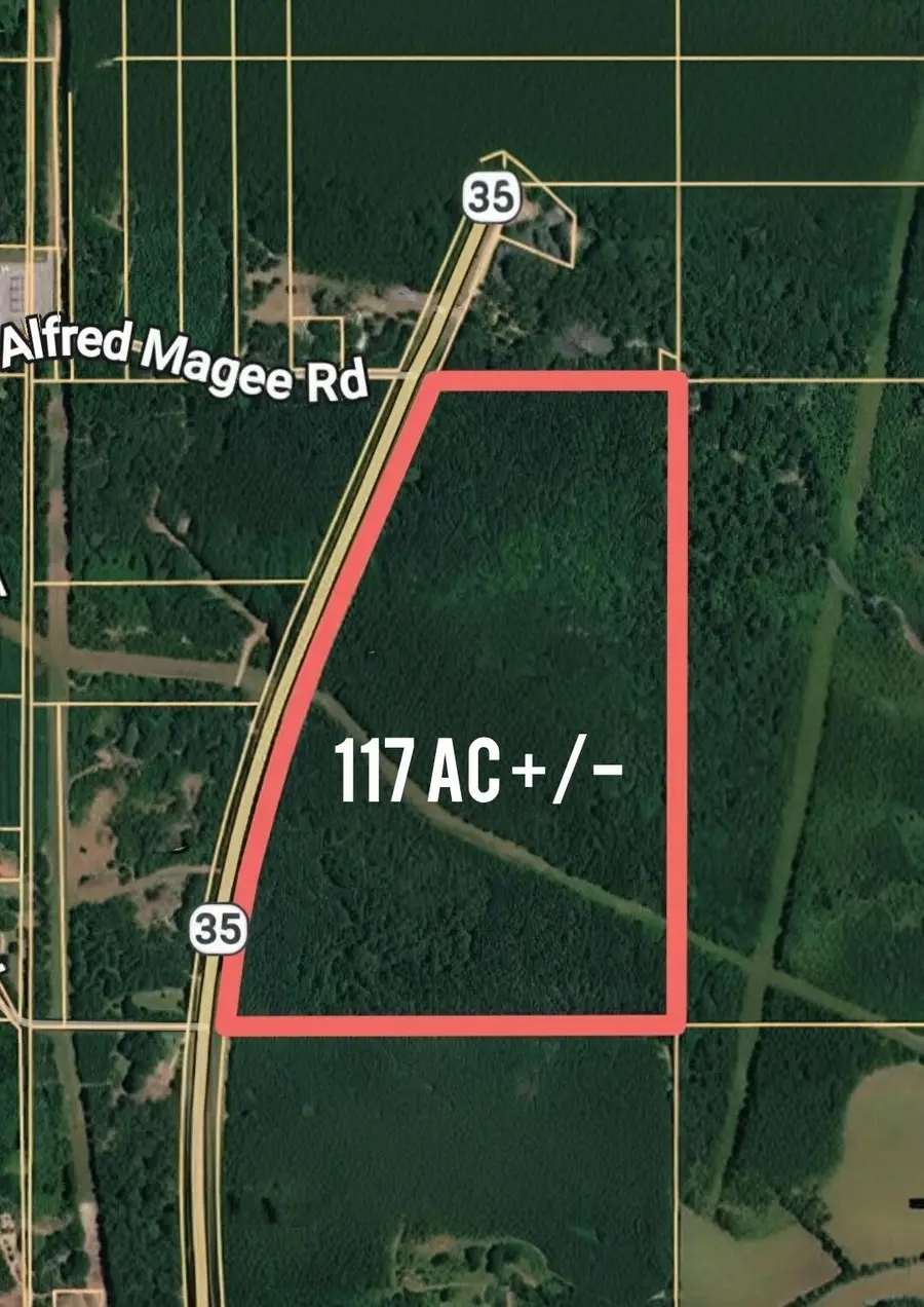 00 Hwy 35, Collins, MS 39428 - #2