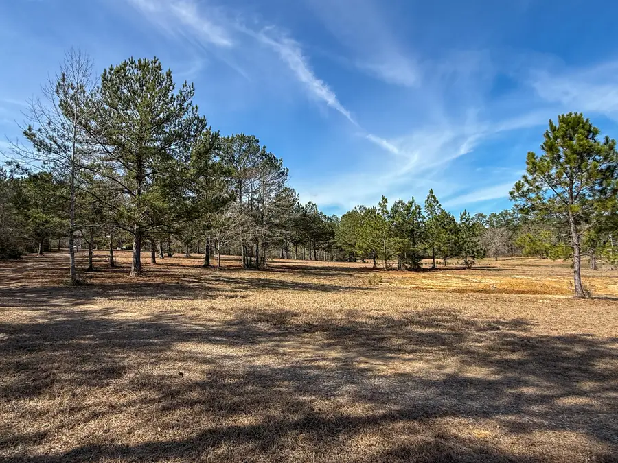 25.7 AC Highway 49 South, Hattiesburg, MS 39401 - #2