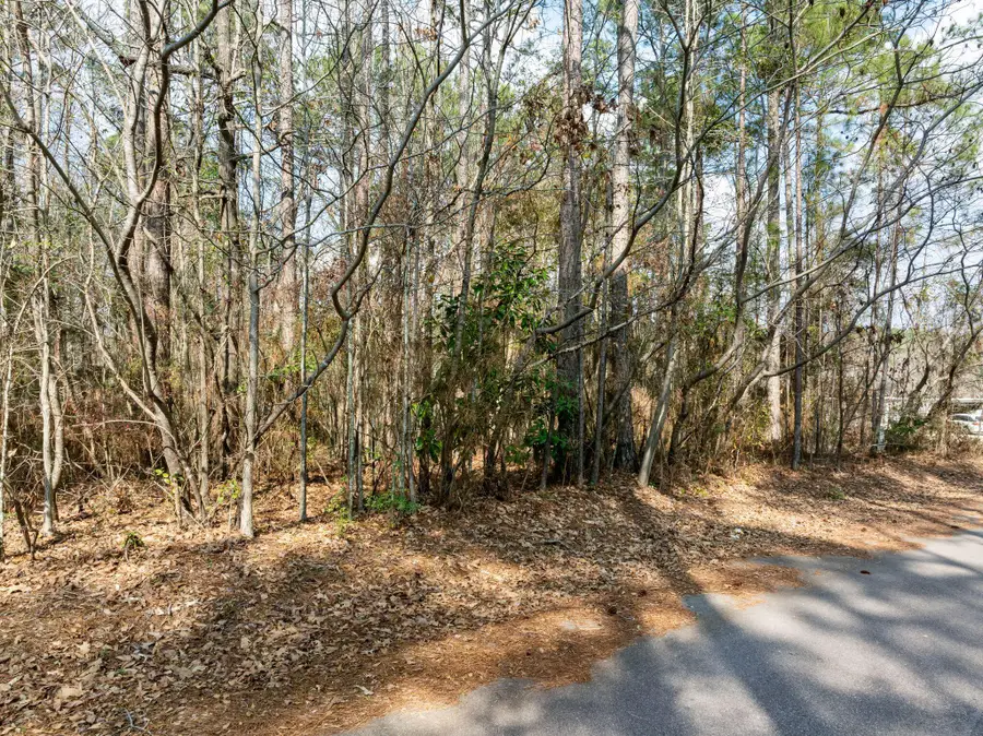 000 Lynell Loop, Hattiesburg, MS 39402 - #2